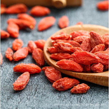 vente chaude goji baies plantes goji Berry